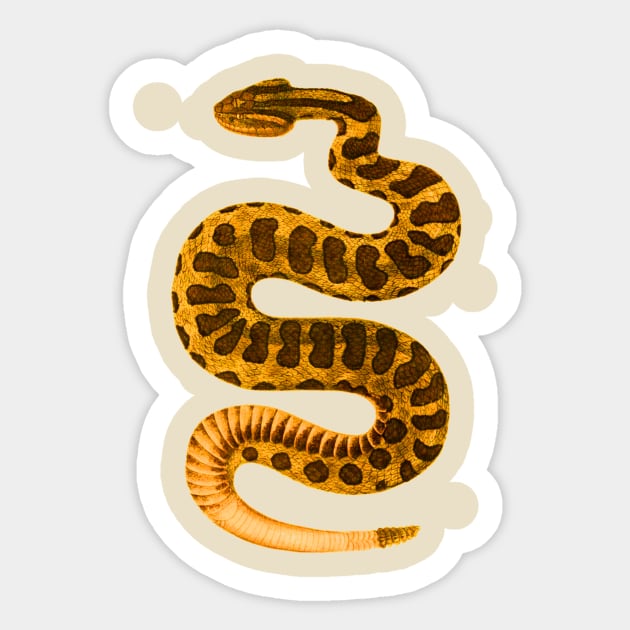 serpent,cobra,reptile,viper,venom,lizard,rattlesnake,king cobra,dragon,hydra,poison,venomous,plumber's snake,pythonidae,pythons,auger,python,squamata,serpentine,worm,big,ophidian,rattlesnakes,medusa,snakebite Sticker by vabontchi